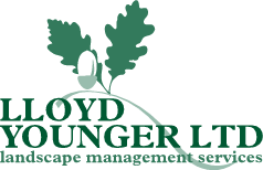 Lloyd Younger logo